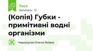 (Копія) Губки - примітивні водні організми