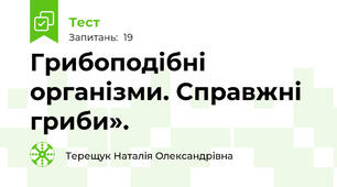 Грибоподібні організми. Справжні гриби».