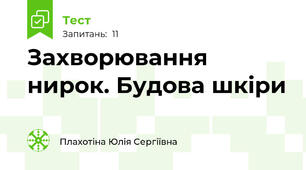Захворювання нирок. Будова шкіри