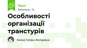Особливості організації транстурів