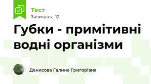  Губки - примітивні водні організми