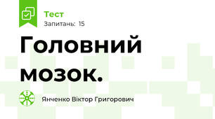 Головний мозок.