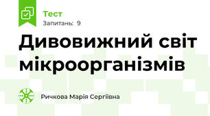 Дивовижний світ мікроорганізмів