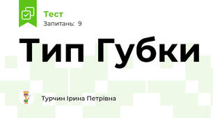 Тип Губки 