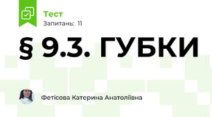 § 9.3. ГУБКИ