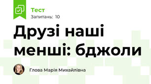 Друзі наші менші: бджоли
