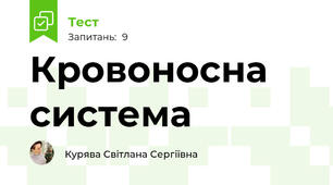 Кровоносна система