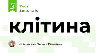 клітина 