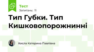 Тип Губки. Тип Кишковопорожнинні