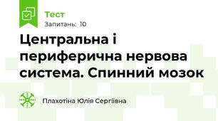 Центральна і периферична нервова система. Спинний мозок