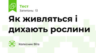 Як живляться і дихають рослини