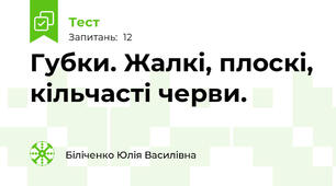  Губки. Жалкі, плоскі, кільчасті черви.