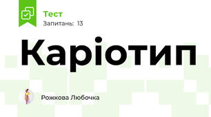 Каріотип