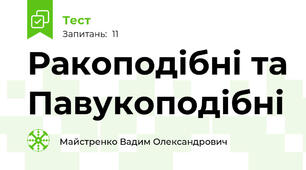 Ракоподібні та Павукоподібні