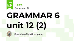 GRAMMAR 6 unit 12 (2)
