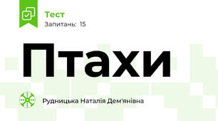 Птахи