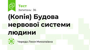 (Копія) Будова нервової системи людини