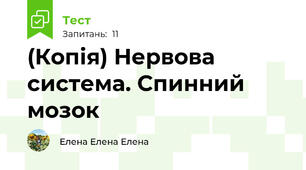 (Копія) Нервова система. Спинний мозок
