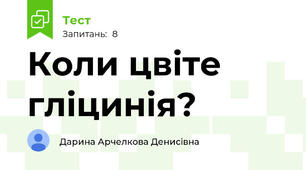 Коли цвіте гліцинія?