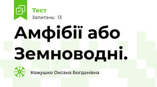 Амфібії або Земноводні.