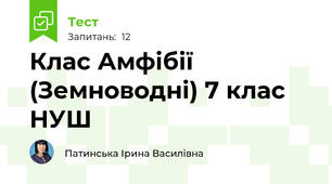Клас Амфібії (Земноводні) 7 клас НУШ