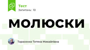 молюски