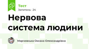 Нервова система людини