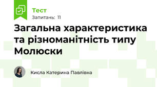 Загальна характеристика та різноманітність типу Молюски