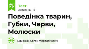 Поведінка тварин, Губки, Черви, Молюски