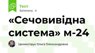 «Сечовивідна система» м-24 