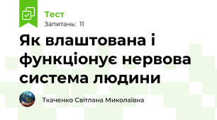 Як влаштована і функціонує нервова система людини