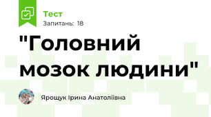  "Головний мозок людини"