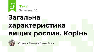 Загальна характеристика вищих рослин. Корінь