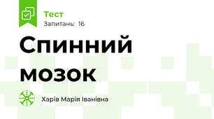  Спинний мозок