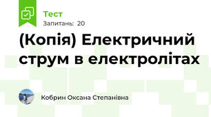 (Копія) Електричний струм в електролітах