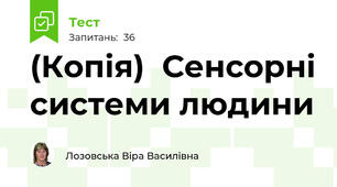 (Копія)  Сенсорні системи людини