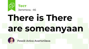 There is There are some\any\a\an