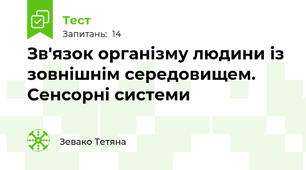 Зв'язок організму людини із зовнішнім середовищем.  Сенсорні системи