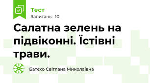 Салатна зелень на підвіконні. Їстівні трави.