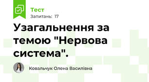 Узагальнення за темою "Нервова система".