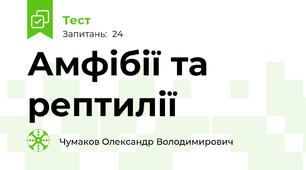 Амфібії та рептилії