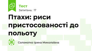 Птахи: риси пристосованості до польоту