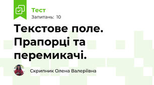 Текстове поле. Прапорці та перемикачі.