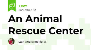 An Animal Rescue Center 
