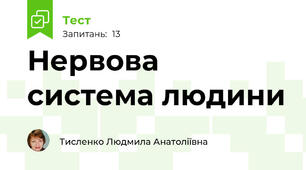 Нервова система людини