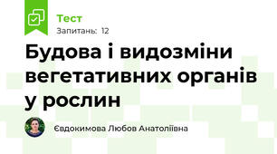 Будова і видозміни вегетативних органів у рослин