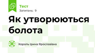 Як утворюються болота