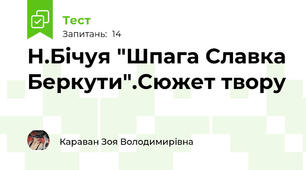 Н.Бічуя "Шпага Славка Беркути".Сюжет твору