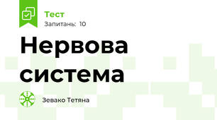 Нервова система 