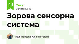 Зорова сенсорна система